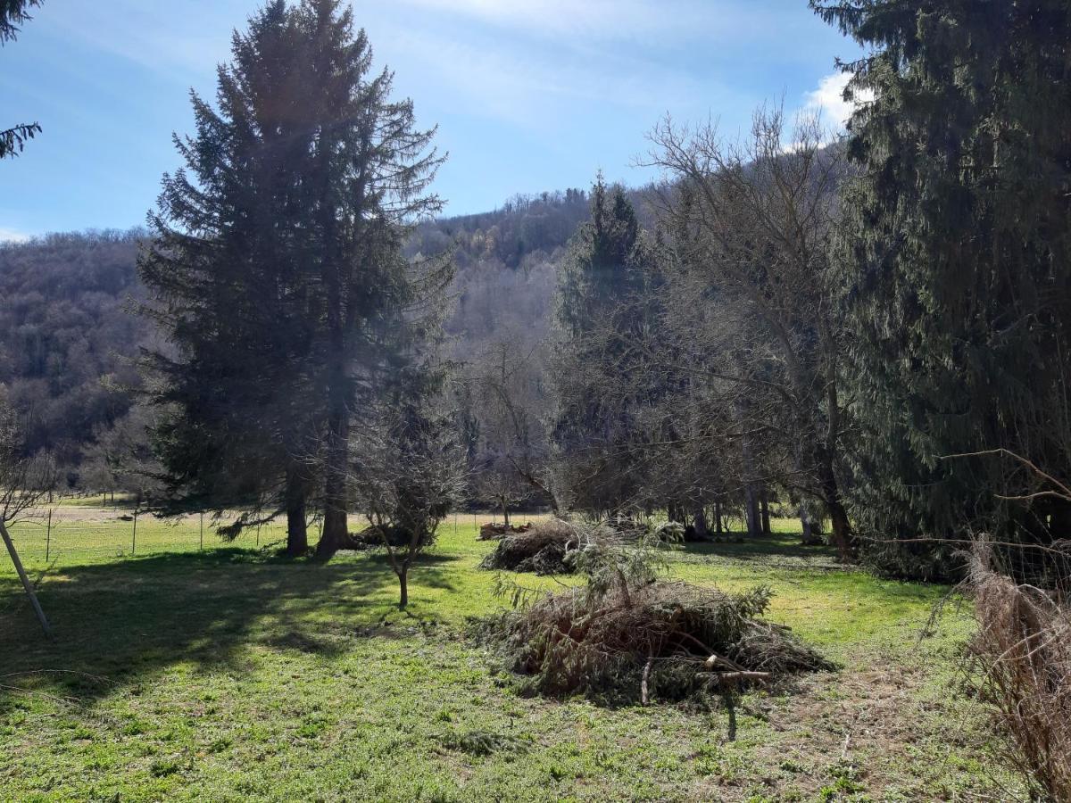 Chalet Tout Confort Proche D Ax 3 Domaines Vebre Eksteriør billede