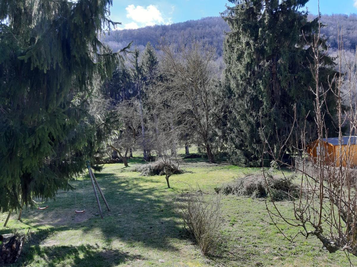 Chalet Tout Confort Proche D Ax 3 Domaines Vebre Eksteriør billede