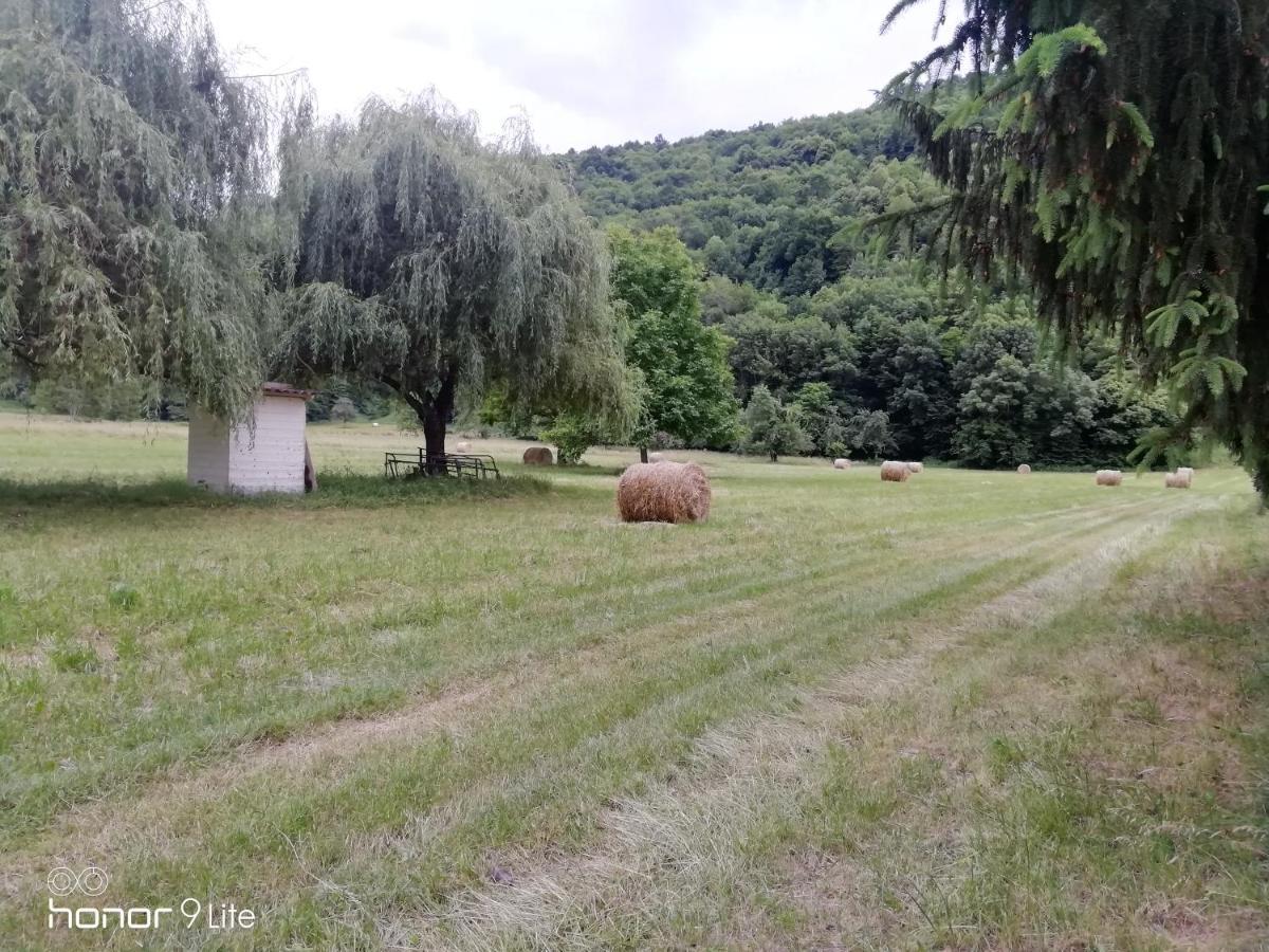 Chalet Tout Confort Proche D Ax 3 Domaines Vebre Eksteriør billede
